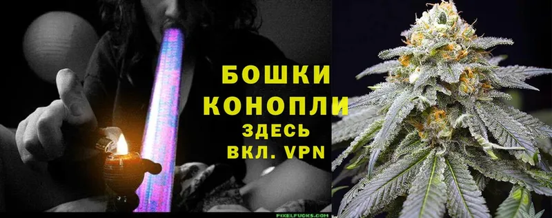 Шишки марихуана OG Kush  Новая Ляля 